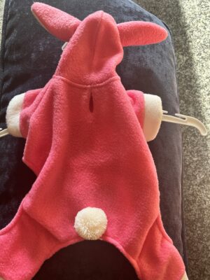 Bunny Jumper Outfit in Pink