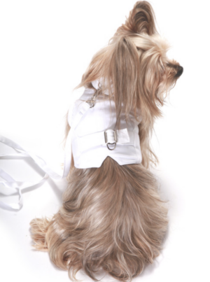 Wyatt Linen Harness Dog Vest