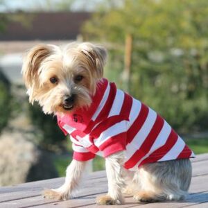Striped Dog Polo in Flame Scarlet Red and White