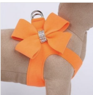 Electric Orange Nouveau Bow Step in Harness Size XSmall