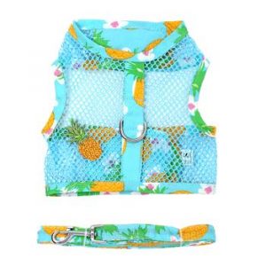 Pineapple luau mesh harness