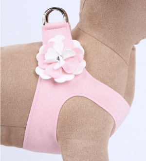 special occasion tinkies garden flower step in harness