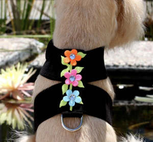 secret garden tinkie dog harness