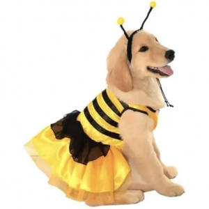 bumblebee dress costume for dogs