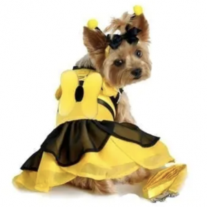 Bumble Bee Fairy Dog Costume Dress
