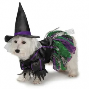 clearance scary witch costume