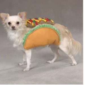 clearance taco dog costume