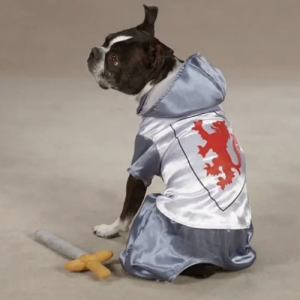 clearance knight dog costume