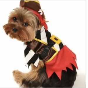 clearance rustic pirate dog costume