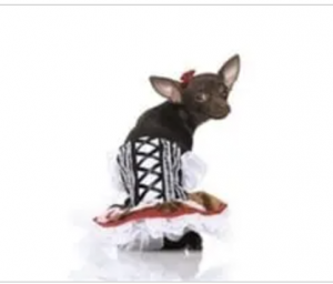 clearance heidi dog costume