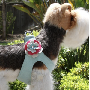 blossom flower step in dog harness