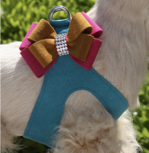 isabella step in dog harness