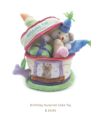 Birthday Surprise Cake Toy