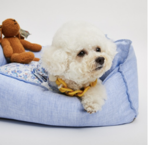 Baby Blue Organic Boom Dog Bed
