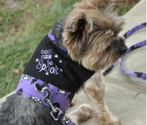 Too Cute to Spook Dog Harness