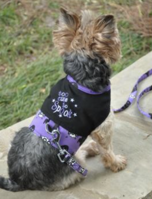 Too Cute to Spook Dog Harness