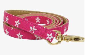 soho hot pink leash