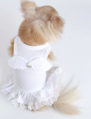 Lil' Angel Dog Dress