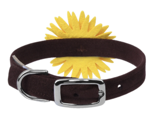 Sunflower Dog Collar by Susan Lanci