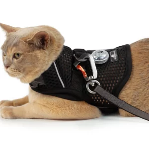 sleepypod martingale calming and walking harness for cats in jet black