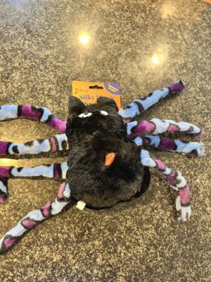 Zanies Spider Squeaker toy