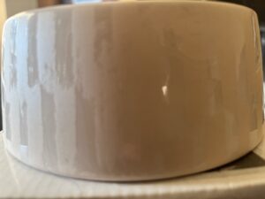 Nicole Miller Painted Checkerboard Dog Bowl in Beige