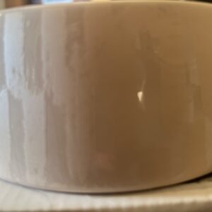 Nicole Miller Painted Checkerboard Dog Bowl in Beige