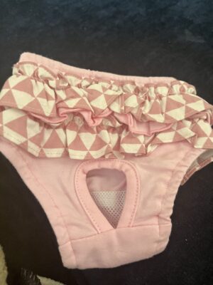 Puppy Angel Pink Panties