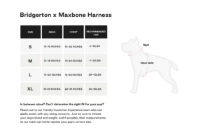 maxbone bridgerton walking set size chart
