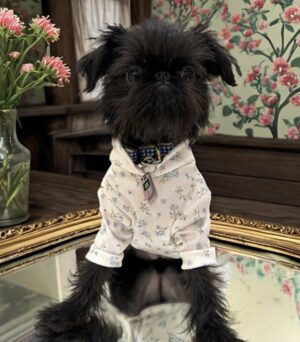 Ditzy Flower Turtleneck by Pooch Couture