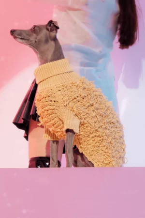 metallic curly knit jumper