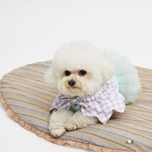 Aqua Tutu Sleeveless Dress-a luxury dog dress by Louisdog