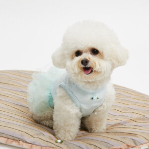 Aqua Tutu Sleeveless Dress-a luxury dog dress by Louisdog