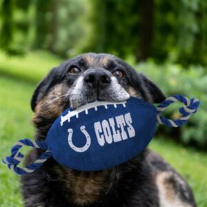 NFL Indianapolis Colts Pet Merchandise