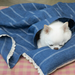 Louisdog Anytime Blanket and Pillow Set