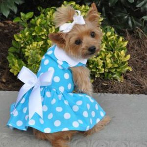 Polka Dot Dress by Doggie Design in blue