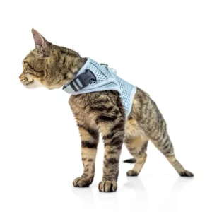 Martingale Harness Plus for cats