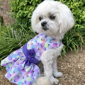 Purple Butterfly Dog Dress