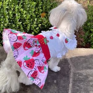 Strawberry Picnic Dog Dress