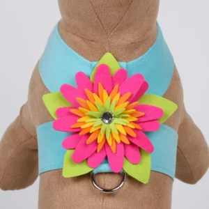 Island Flower Tinkie Harness by Susan Lanci Designs at Paws With Fashion