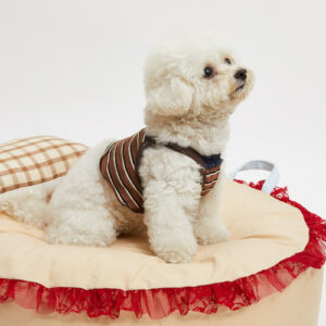 CoCo Stripes TOP by Louisdog at Paws With Fashion