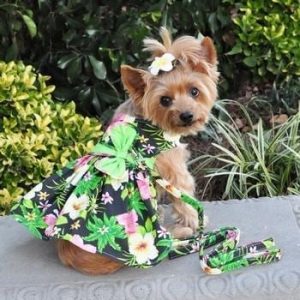 Twilight Black Hawaiian Hibiscus Dog Dress